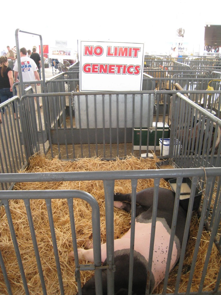 No Limit Genetics
