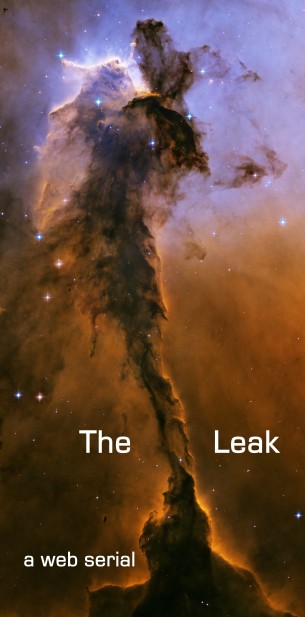 The Leak is a sci fi novel work-in-progress. Ingrid lives in a universe of scattered outposts, a lonely daughter in a long line of prestigious military women. The virus brought the matriarchy, the matriarchy caused the problems...